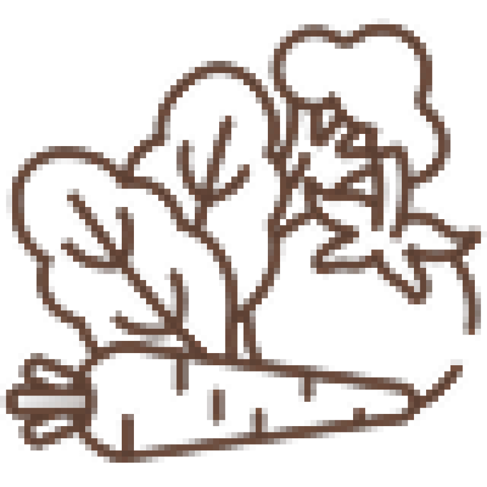 Historisches Ambiente